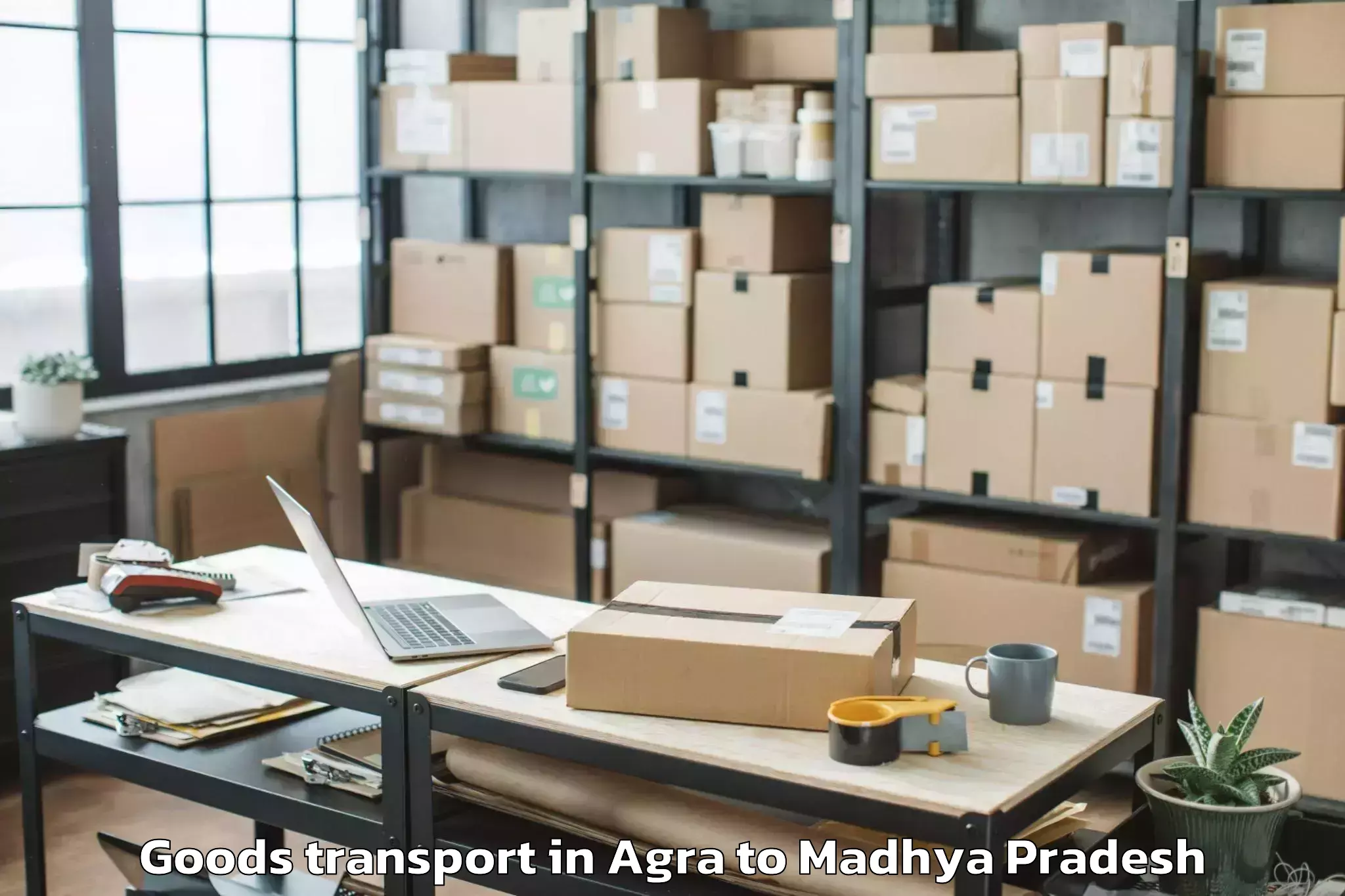 Professional Agra to Khargapur Goods Transport